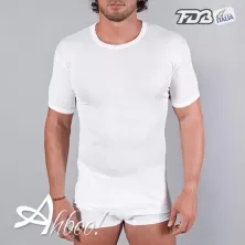 Maglia filo di scozia da uomo FDB 2160 a girocollo conf. 3 pz