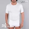 Maglia filo di scozia da uomo FDB 2160 a girocollo conf. 3 pz