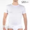 Maglia filo di scozia da uomo FDB 2160 a girocollo conf. 3 pz