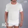 Maglia mezza manica mistolana da uomo FDB 31
