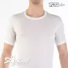 Maglia mezza manica mistolana da uomo FDB 31 Conf. 3 pz