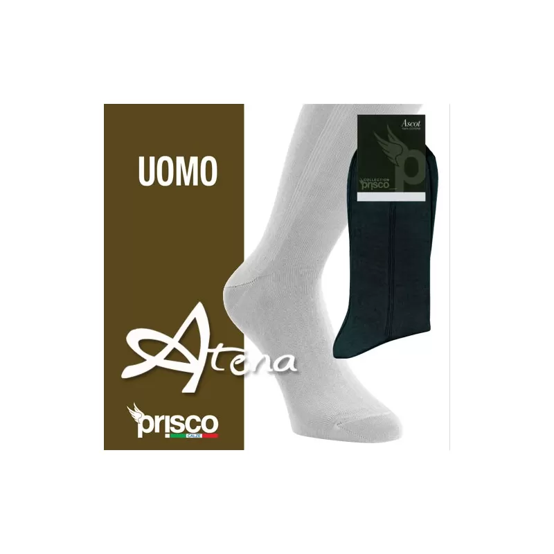 CALZE UOMO LUNGHE ASCOT PRISCO conf. 6 pz